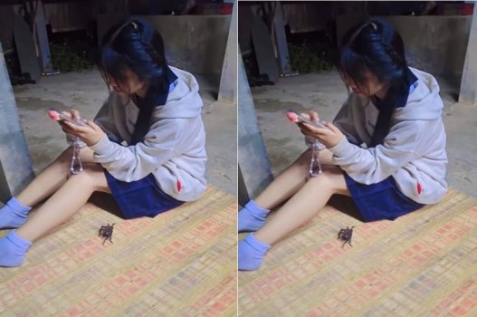 Hẹn nhau tại chỗ để đút nhau